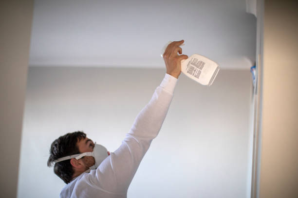 Best Mold Cleaning Services  in Desert View Highlands, CA